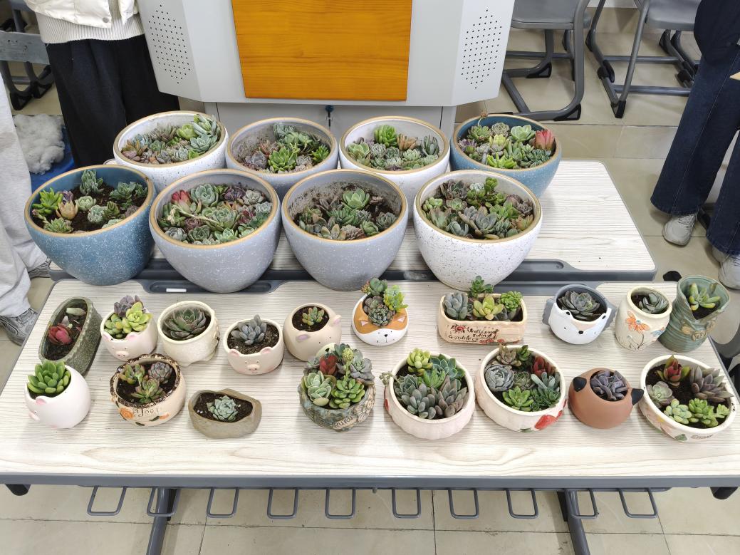 2026年3月13日365集团海浪计划——“植绿春日,微景匠心”活动在医教楼607展开(同学们种植作品的大合照)